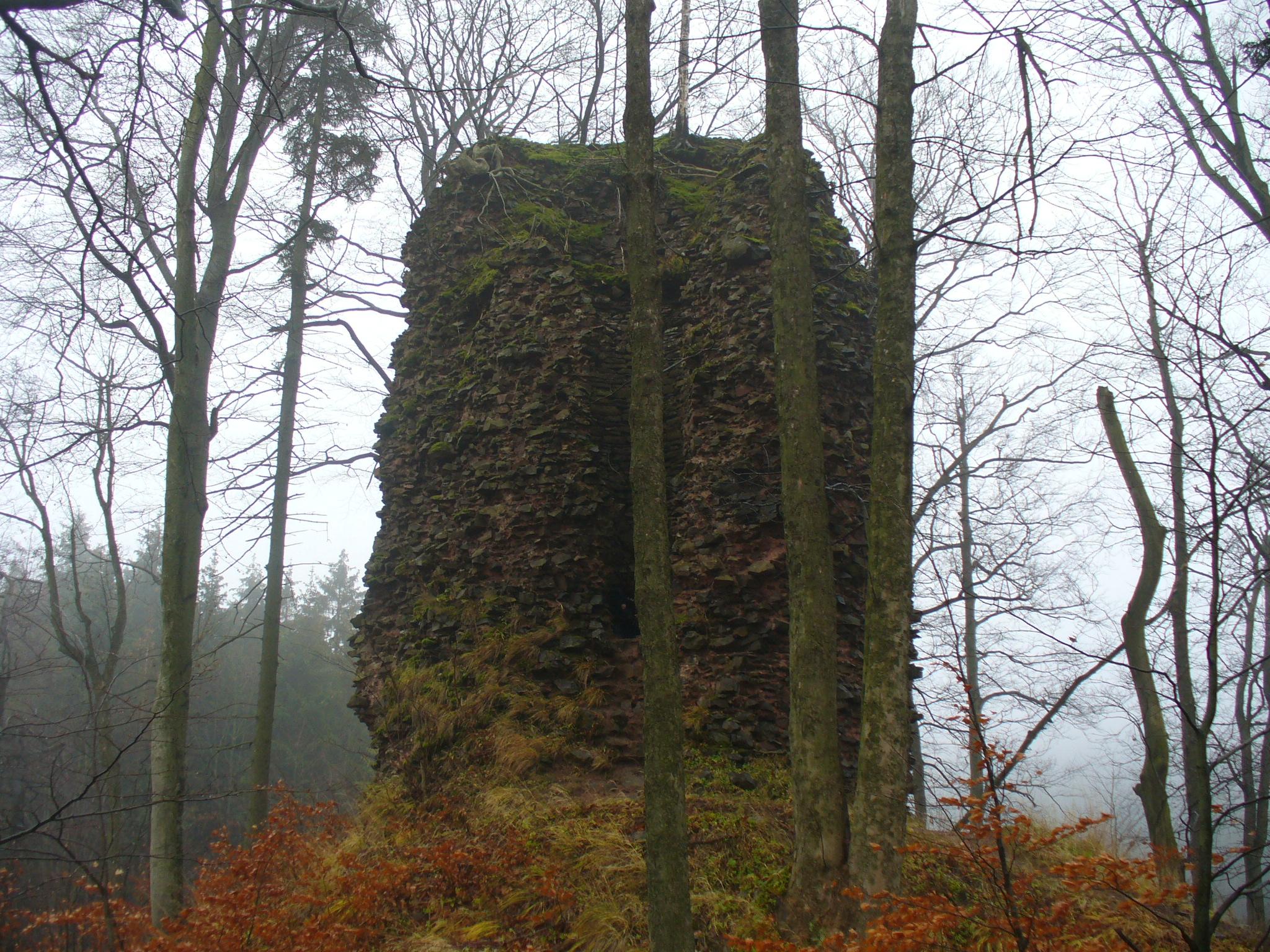 Zamek Radosno
